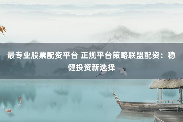 最专业股票配资平台 正规平台策略联盟配资：稳健投资新选择