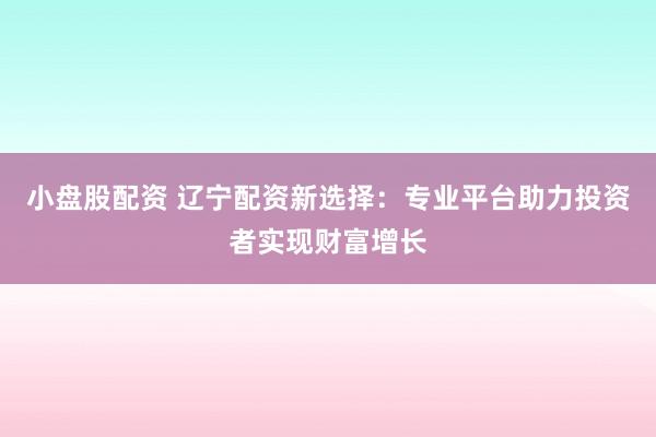 小盘股配资 辽宁配资新选择：专业平台助力投资者实现财富增长