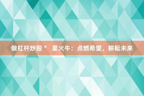 做杠杆炒股 *   星火牛：点燃希望，耕耘未来