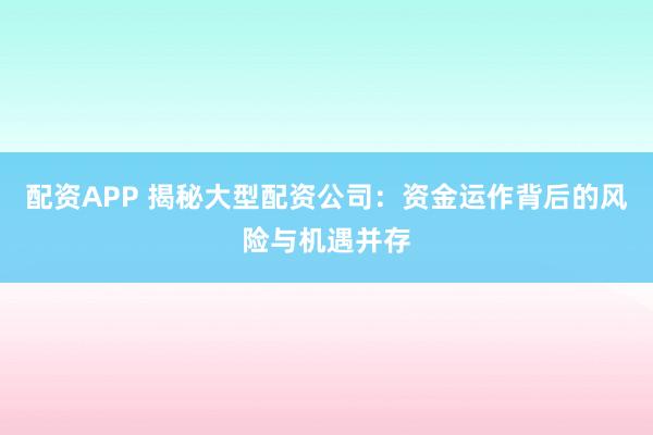 配资APP 揭秘大型配资公司：资金运作背后的风险与机遇并存