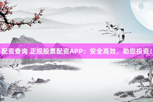 配资查询 正规股票配资APP：安全高效，助您投资！
