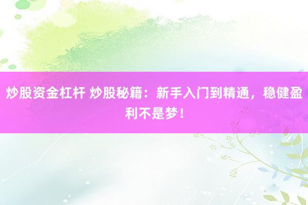 炒股资金杠杆 炒股秘籍：新手入门到精通，稳健盈利不是梦！
