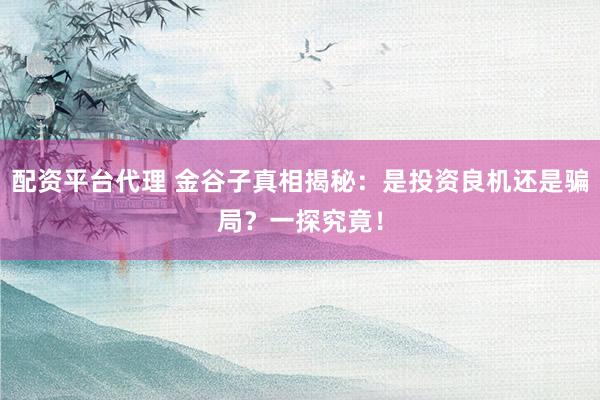 配资平台代理 金谷子真相揭秘：是投资良机还是骗局？一探究竟！