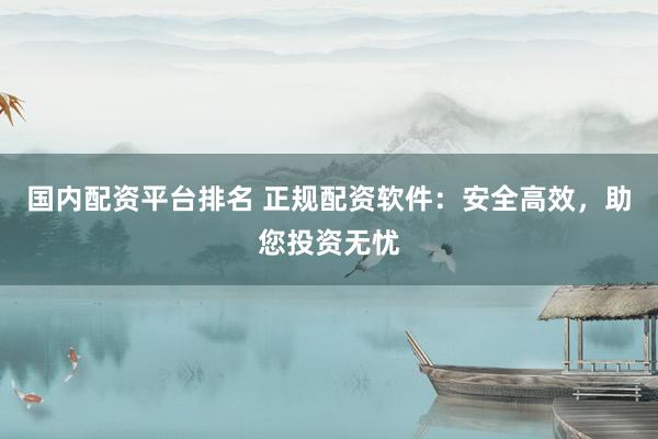 国内配资平台排名 正规配资软件：安全高效，助您投资无忧