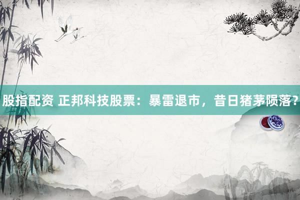股指配资 正邦科技股票：暴雷退市，昔日猪茅陨落？